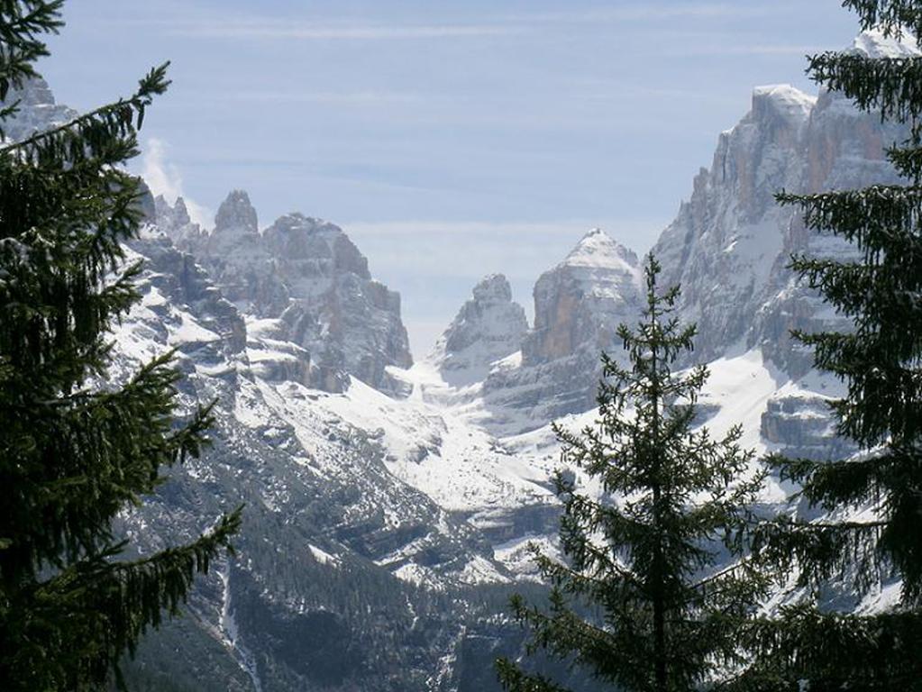 마돈나 디 캄필리오 Campiglio Tre Sassi 아파트 객실 사진